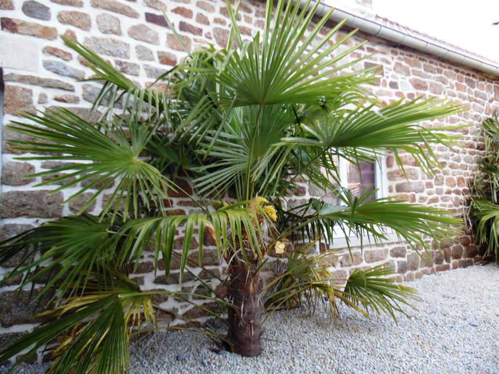 Gite Mont Saint Michel "Aucoeurdelabaie" Sains Exterior foto